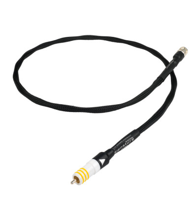 Chord Signature Super ARAY Digital