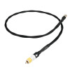 Chord Signature Super ARAY Digital